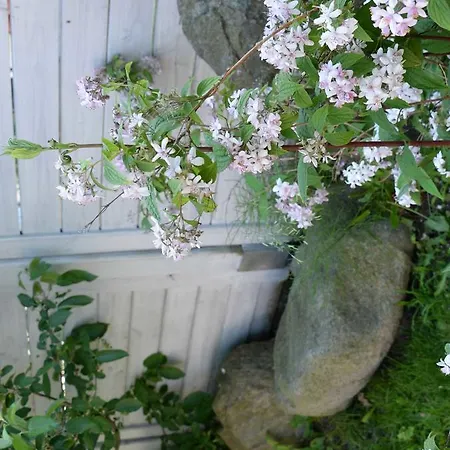 8erwassereck Διαμέρισμα Uckeritz